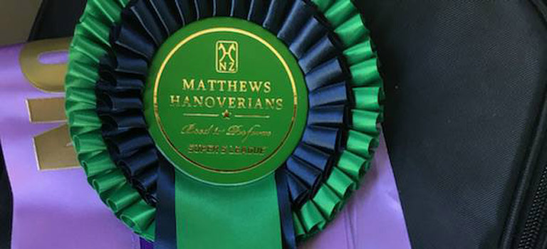 Southern Hawkes Bay Dressage Championship Show 2017 Results