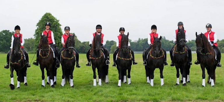 Join the Friesian Drill Team!