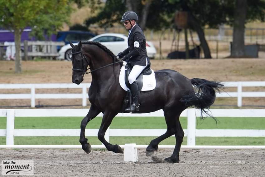MAINLAND ENGINEERING & DAIRY SYSTEMS Taupo Dressage Accumulator Ribbon