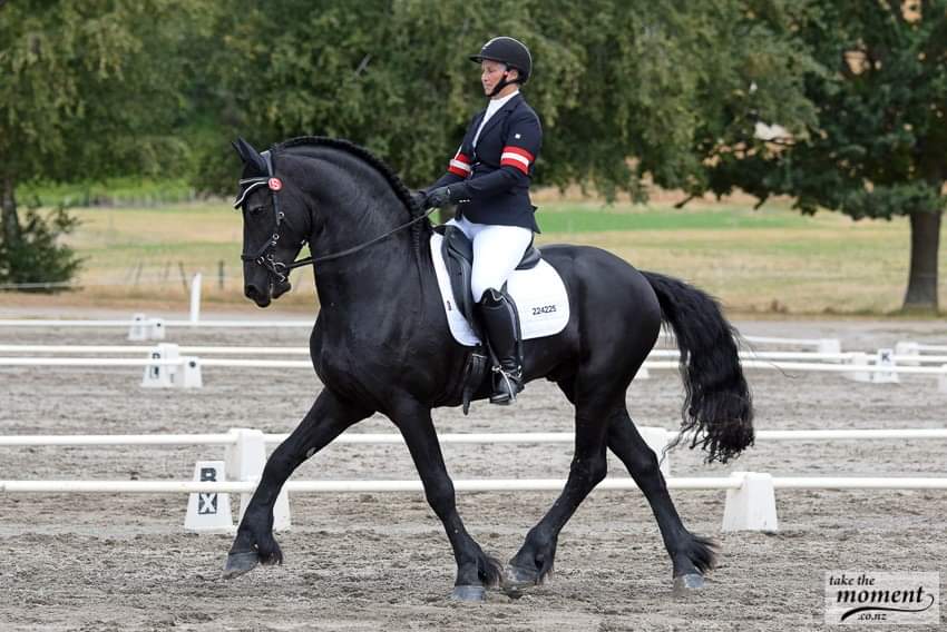 MAINLAND ENGINEERING & DAIRY SYSTEMS Taupo Dressage Accumulator Ribbon