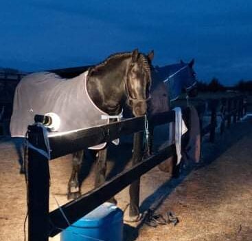 End of the Winter Series at Marlborough Equestrian Barn  2020